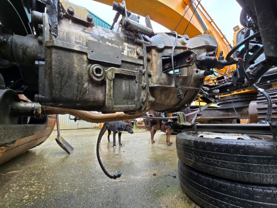 NISSAN Tl110.35 CABSTAR E (GEARBOX) NISSAN Tl110.35 CABSTAR E (GEARBOX) - Image 7